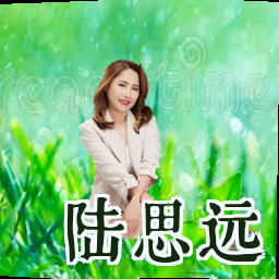 陆思远